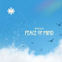MERAKI - Peace of Mind