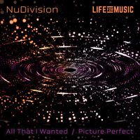 NuDivision - All That I Wanted / Picture Perfect
