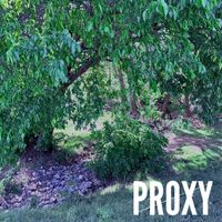 PROXY - Love Isn't Happy or Angry