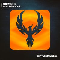 Trimtone - Got 2 Groove