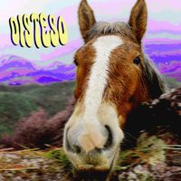 Sabas - Disteso