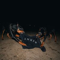RIE - Amiri