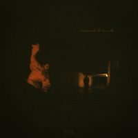 ЛУКА - состояния