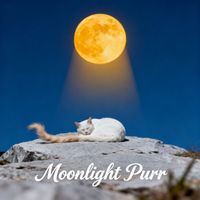 SHIGE - Moonlight Purr