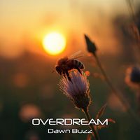 Overdream - Dawn Buzz