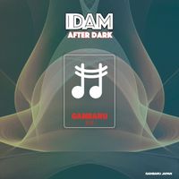 IDAM - After Dark
