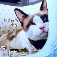 Chris Leo - 最勇敢的小夏