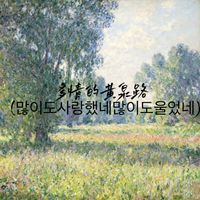 KIM - 多情的黄泉路 (많이도사랑했네많이도울었네)