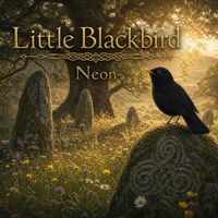 Neon - Little Blackbird
