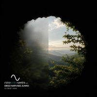 Diego Narvaez & Zunno - A Clear View