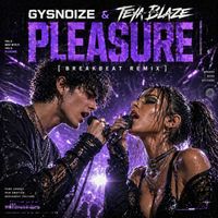 GYSNOIZE & Teya Blaze - Pleasure (Breakbeat Remix)