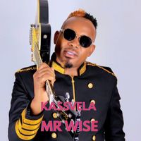 MR WISE - Kassvela
