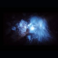 eternal - in a dark forest