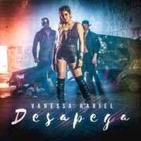 Vanessa Hariel - Desapega