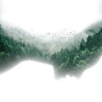 Soul Frequency - Nature’s Perfection