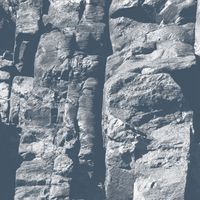 Driftwood - Maps