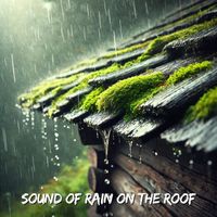 Nature Soundscapes - Sound of Rain on the Roof