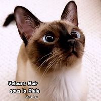 Chris Leo - Velours Noir sous la Pluie