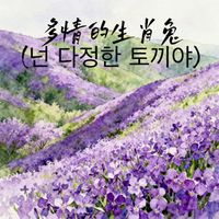 KIM - 多情的生肖兔 (넌다정한토끼야)