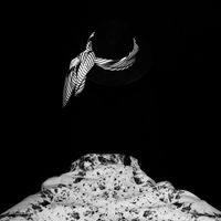 Untitled - Space Jam