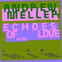 Andrew Meller - Echoes Of Love