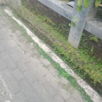 Azmi - Mei rebus saat hujan