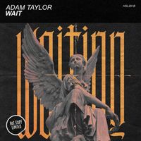 Adam Taylor - Wait
