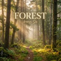 Ikarus Sol - Forest