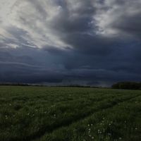 apocalypse - Old Enough To Understand