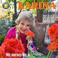 Karina - Mis noches sin ti