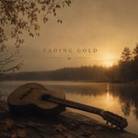 Per-Anders Nilsson - Fading Gold