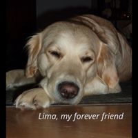 Martin - Lima, My Forever Friend (Studio Edit)