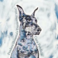 Cera Perdida - Pradera / Brianna's Transcend Mix