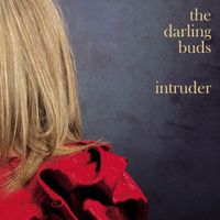 The Darling Buds - Intruder