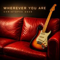 Christophe Goze - Wherever You Are