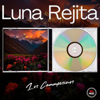 Los Campesinos - Luna Rejita