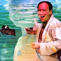 Lonli!¡! - Patos en mi piscina
