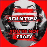 Solntsev - You're Not Crazy