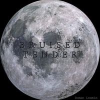 Roman Lesmin - Bruised Tender