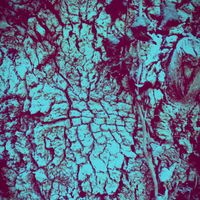 CIRC - Rite