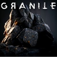 Enforcer - Granite