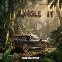 DJ Flash - Jungle It