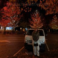Nari - Finally Understand You