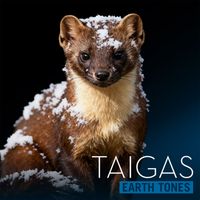 Bleeding Fingers - Earth Tones: Taigas