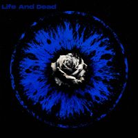 ATLAS SOUND - Life and Dead