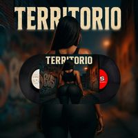 PALMER - TERRITORIO