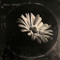 Pidrix - DPQTP