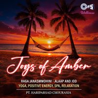 Hariprasad Chaurasia - Joy Of Amber