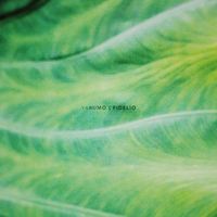 Fidelio - Yarumo