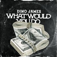 Dino James - What Would You Do